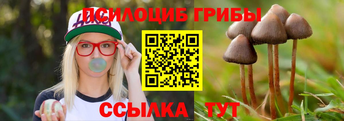 Галлюциногенные грибы мицелий  Вход с VPN  Псилоцибиновые грибы ЛСД  купить   Нижний Новгород 
